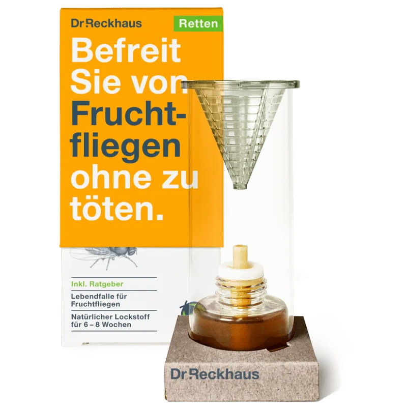 Fruchtfliegen-Retter
