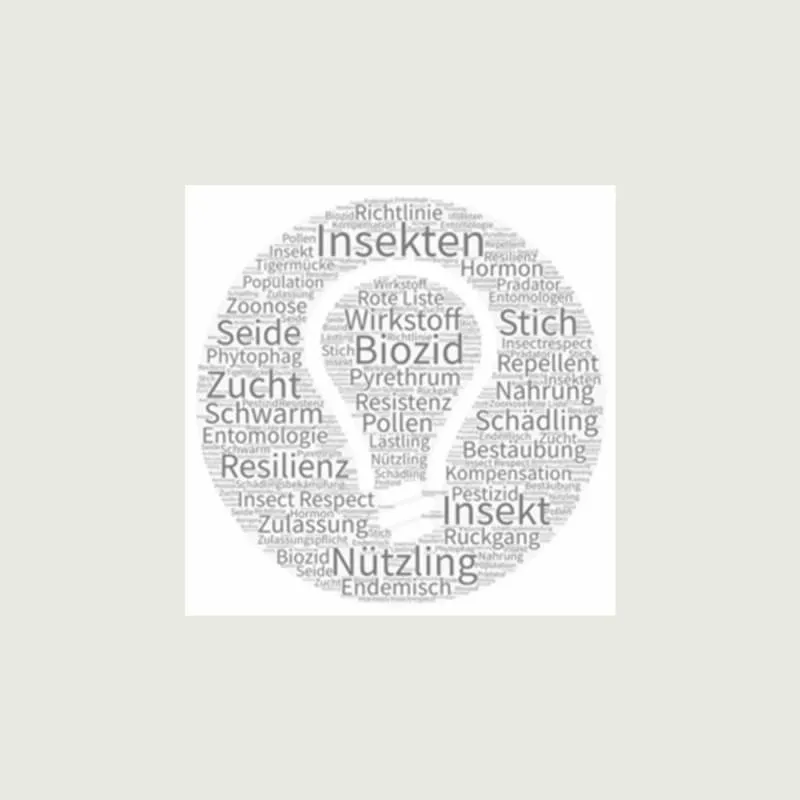 Insect Respect (2017): Glossar